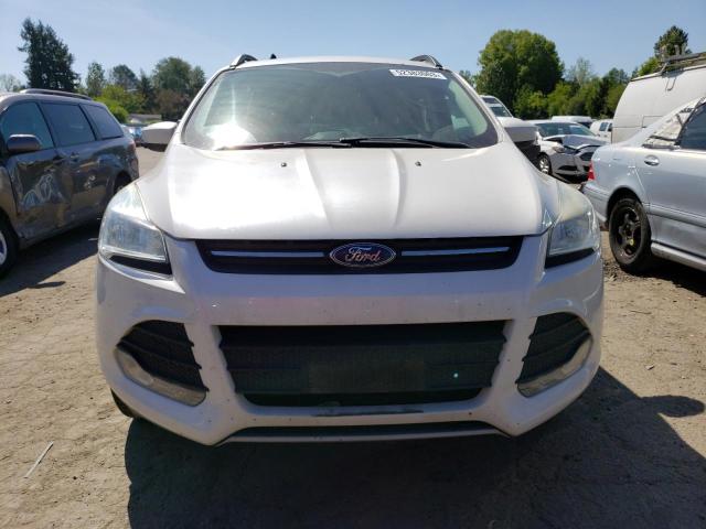 Photo 5 from auction – 2014 FORD ESCAPE SE with VIN 1FMCU9G9XEUE41625
