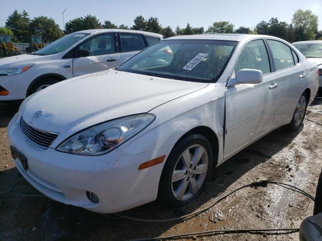 LEXUS ES 330 2005 with VIN JTHBA30G255113073 - Photo from auction