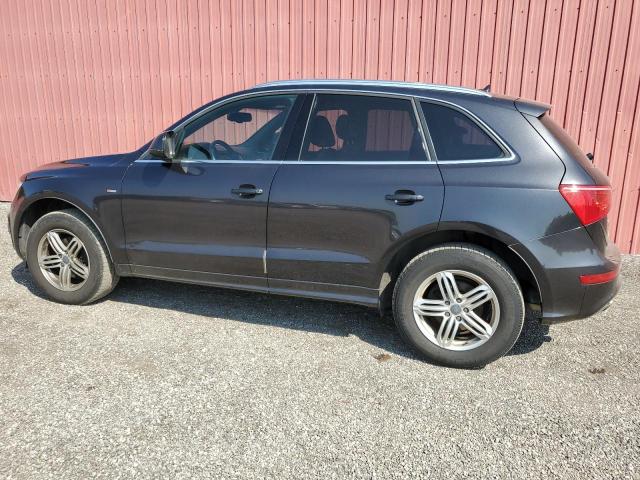 Photo 2 from auction – 2010 AUDI Q5 PREMIUM with VIN WA1MKCFPXAA087414