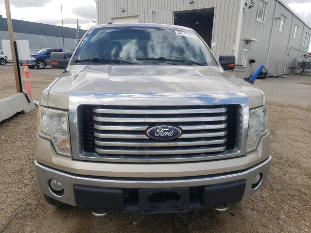 Photo 5 from auction – 2010 FORD F150 SUPER with VIN 1FTFW1EV0AFB12329