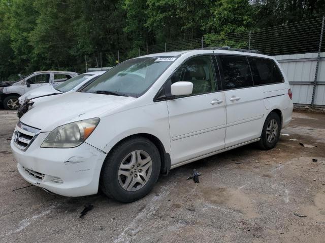 HONDA ODYSSEY EX 2005 with VIN 5FNRL38775B057130 - Photo from auction