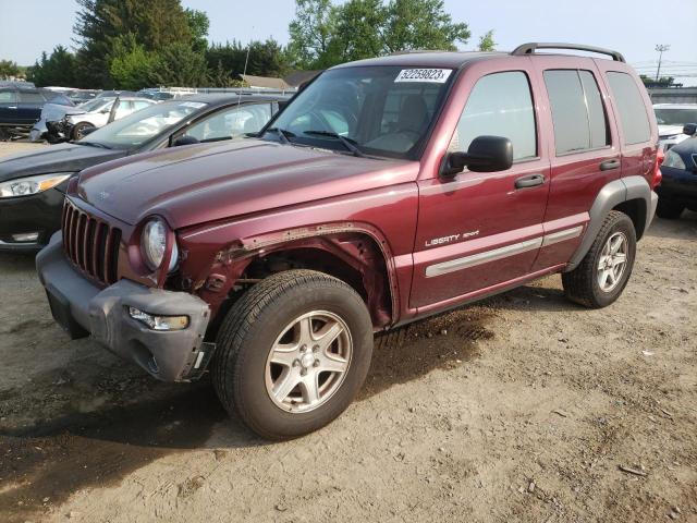 JEEP LIBERTY SP 2003 with VIN 1J4GL48K93W514914 - Photo from auction