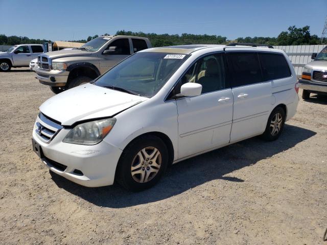 HONDA ODYSSEY EX 2007 with VIN 5FNRL38797B451117 - Photo from auction