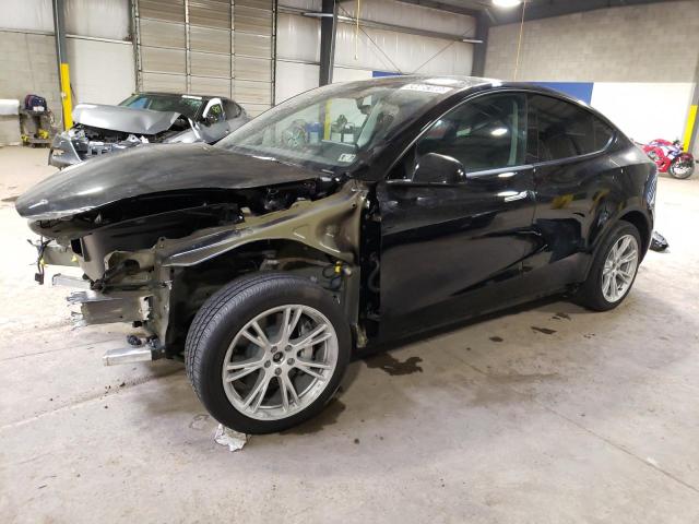 TESLA MODEL Y 2023 with VIN 7SAYGDEEXPA034209 - Photo from auction