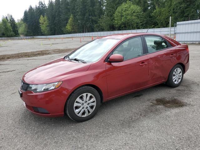 KIA FORTE EX 2012 with VIN KNAFU4A20C5593305 - Photo from auction