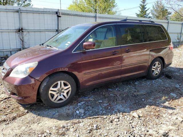 HONDA ODYSSEY 2007 with VIN 5FNRL38747B118839 - Photo from auction