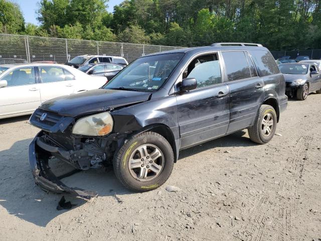 HONDA PILOT EXL 2005 with VIN 2HKYF18755H529740 - Photo from auction