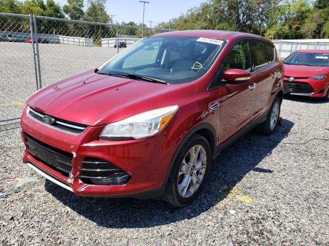 FORD ESCAPE SEL 2013 with VIN 1FMCU0HX6DUA45781 - Photo from auction