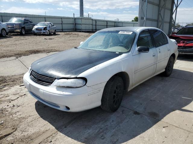 CHEVROLET MALIBU 2001 with VIN 1G1ND52J816159921 - Photo from auction