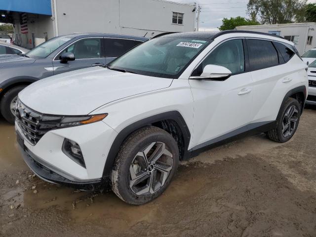 HYUNDAI TUCSON LIM 2023 with VIN 5NMJECAEXPH205840 - Photo from auction