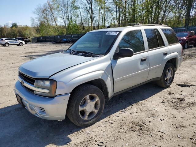 CHEVROLET TRAILBLAZE 2008 with VIN 1GNDT13S582204327 - Photo from auction