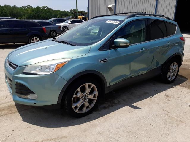 FORD ESCAPE SEL 2013 with VIN 1FMCU0HX9DUC12490 - Photo from auction