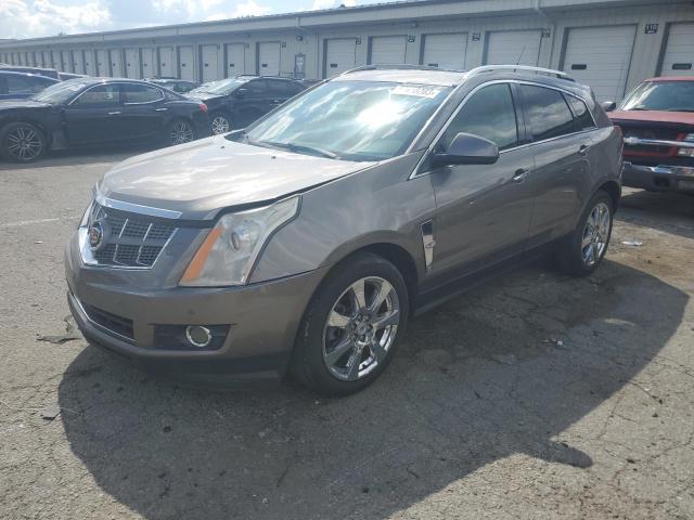 CADILLAC SRX PERFOR 2011 with VIN 3GYFNBEY0BS612436 - Photo from auction