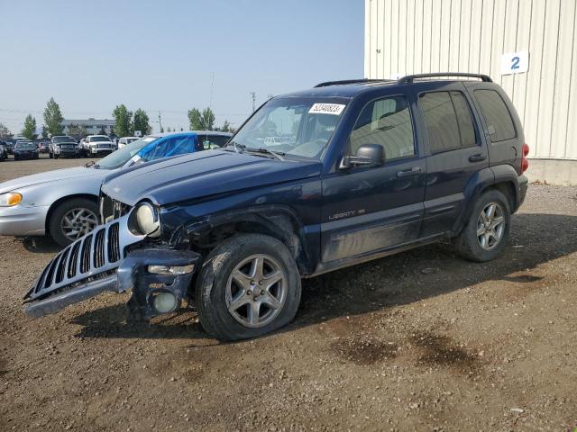 Photo 1 from auction – 2003 JEEP LIBERTY LI with VIN 1J4GL58K33W570918