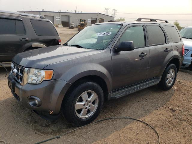 FORD ESCAPE XLT 2009 with VIN 1FMCU03G29KB03850 - Photo from auction