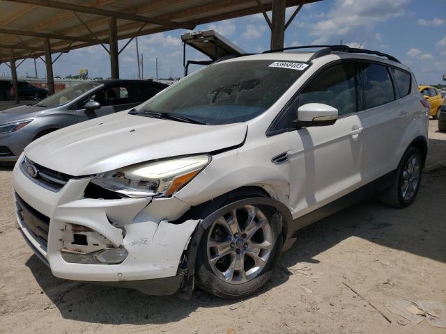 FORD ESCAPE SEL 2013 with VIN 1FMCU0H91DUB07976 - Photo from auction