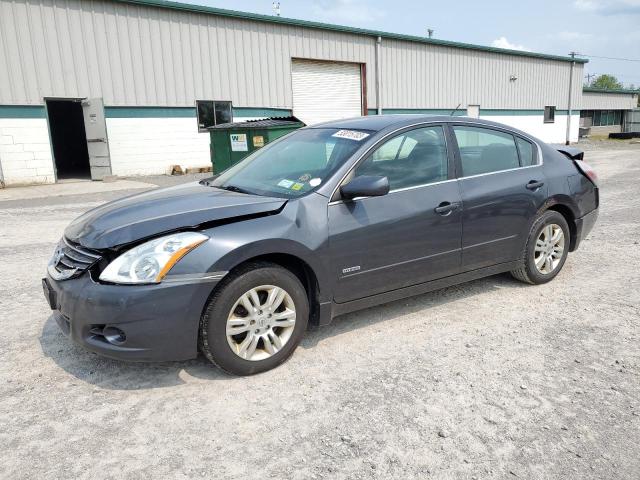 NISSAN ALTIMA HYB 2010 with VIN 1N4CL2AP6AC181526 - Photo from auction