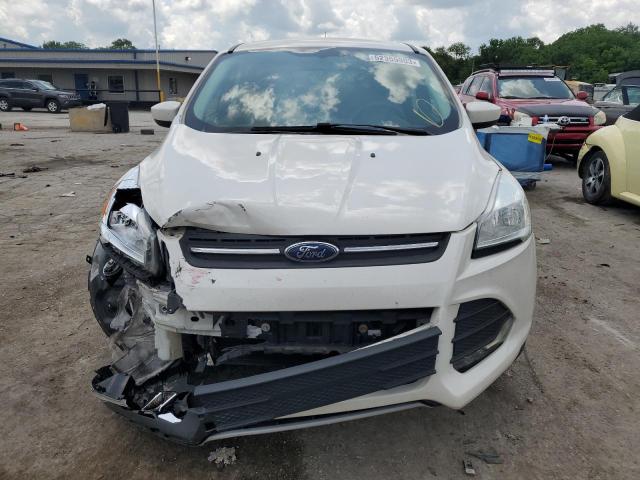 Photo 5 from auction – 2014 FORD ESCAPE SE with VIN 1FMCU0GXXEUD07921