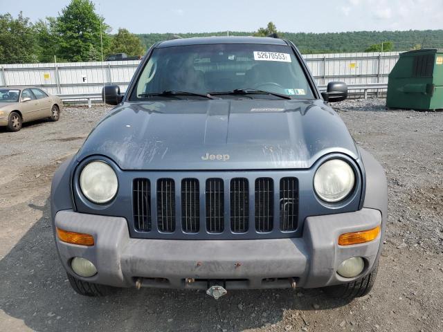 Photo 5 from auction – 2002 JEEP LIBERTY SP with VIN 1J4GL48K42W214731