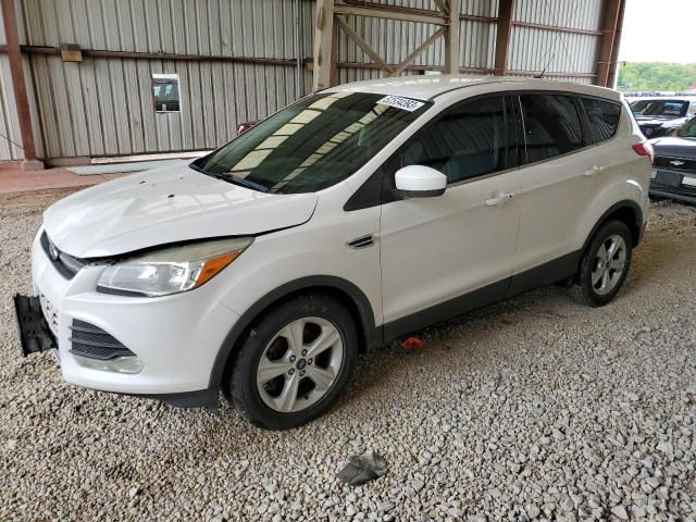 FORD ESCAPE SE 2014 with VIN 1FMCU0GX5EUC75654 - Photo from auction
