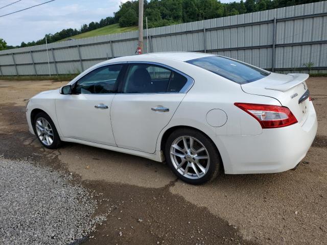 Photo 2 from auction – 2011 NISSAN MAXIMA S with VIN 1N4AA5AP8BC864361