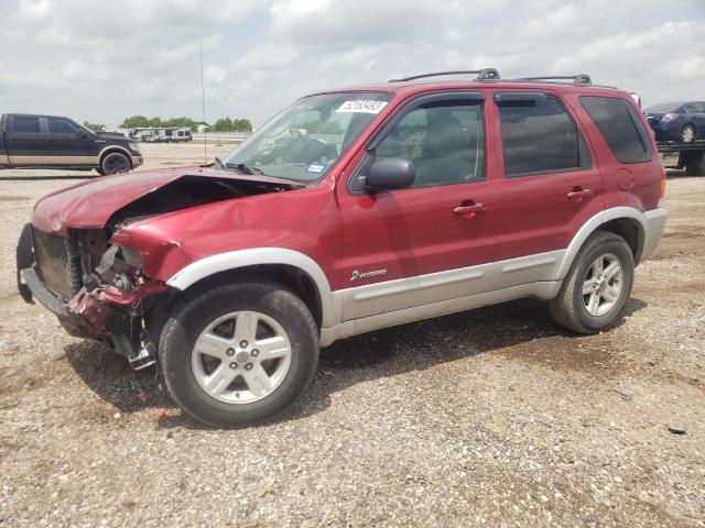 FORD ESCAPE HEV 2005 with VIN 1FMCU95H35KD66501 - Photo from auction