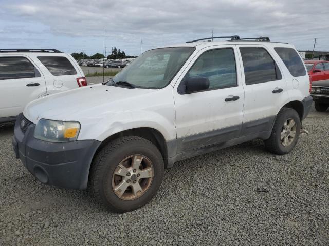 FORD ESCAPE XLT 2005 with VIN 1FMCU93155KB09720 - Photo from auction