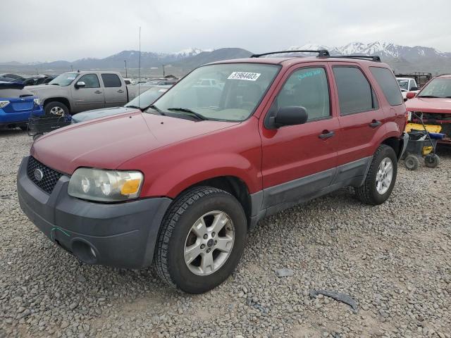 Photo 1 from auction – 2007 FORD ESCAPE XLT with VIN 1FMYU93Z37KB79263