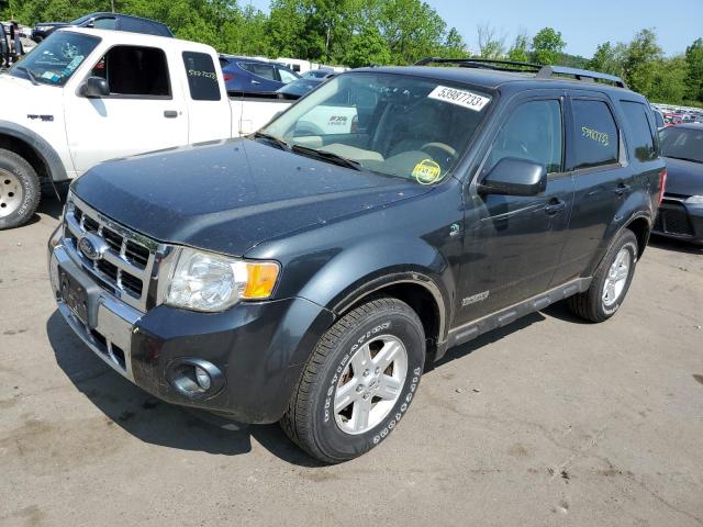 FORD ESCAPE HEV 2008 with VIN 1FMCU59HX8KB65900 - Photo from auction