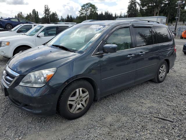 HONDA ODYSSEY EX 2005 with VIN 5FNRL38785B091500 - Photo from auction