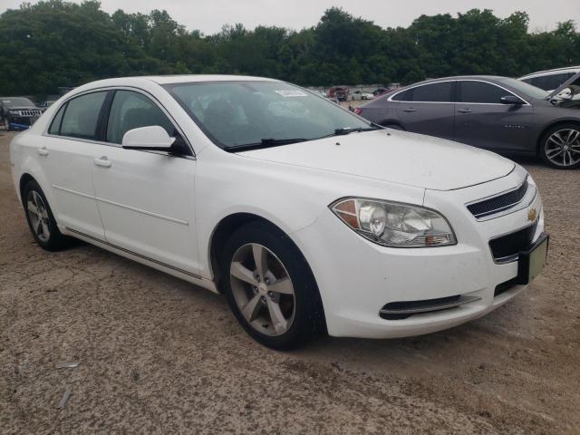 Photo 4 from auction – 2011 CHEVROLET MALIBU 1LT with VIN 1G1ZC5E17BF383067