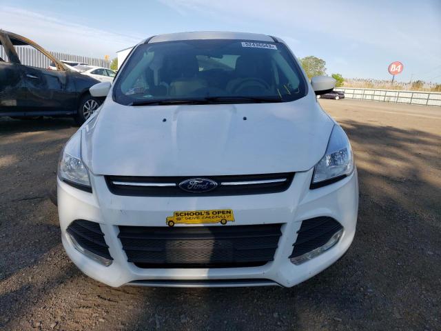 Photo 5 from auction – 2016 FORD ESCAPE SE with VIN 1FMCU0G7XGUA63044