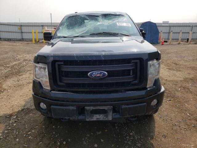 Photo 5 from auction – 2013 FORD F150 SUPER with VIN 1FTFX1EFXDFE05987