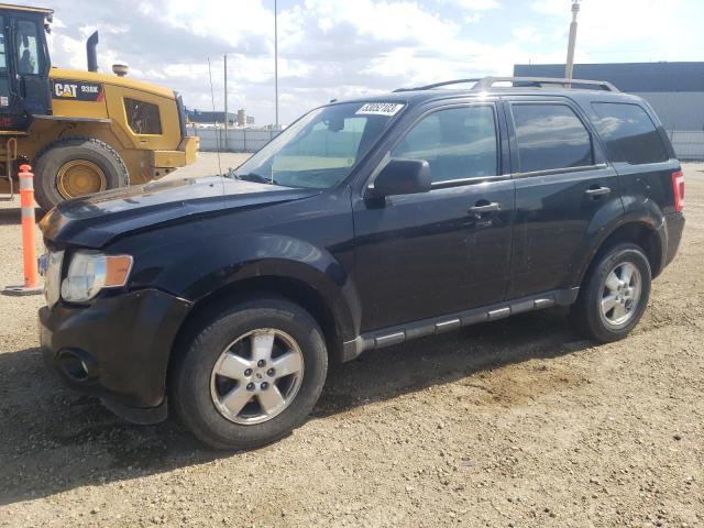 FORD ESCAPE XLT 2010 with VIN 1FMCU9D76AKB86979 - Photo from auction