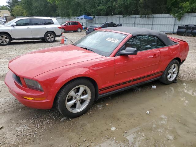 Photo 1 from auction – 2008 FORD MUSTANG with VIN 1ZVHT84N585204397