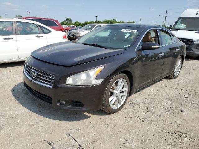 NISSAN MAXIMA S 2010 with VIN 1N4AA5AP3AC862693 - Photo from auction