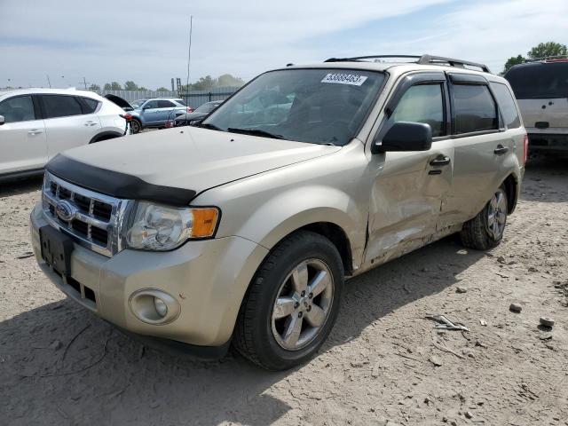 Photo 1 from auction – 2010 FORD ESCAPE XLT with VIN 1FMCU0D77AKA34303