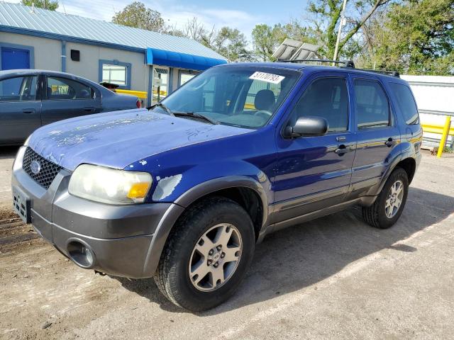 FORD ESCAPE XLT 2005 with VIN 1FMCU03165KA28656 - Photo from auction