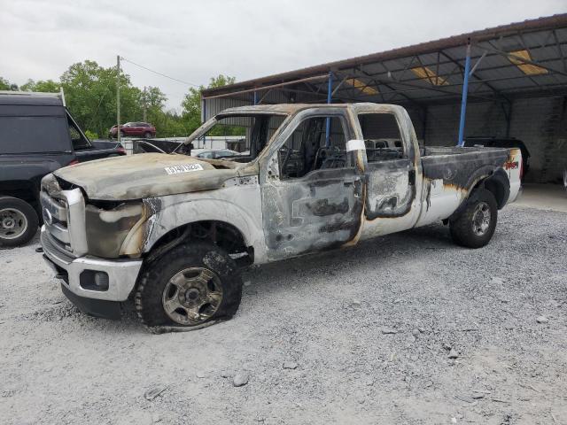 FORD F250 SUPER 2016 with VIN 1FT7W2BT4GEB75672 - Photo from auction