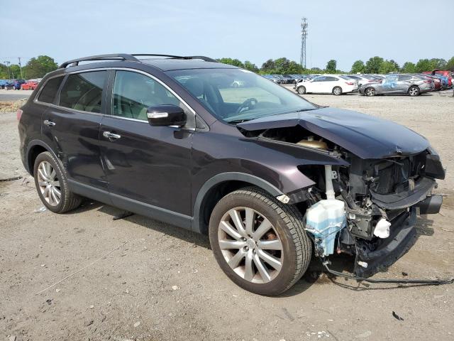 Photo 4 from auction – 2009 MAZDA CX-9 with VIN JM3TB38V490170570