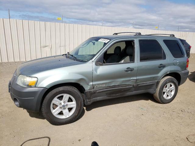 FORD ESCAPE HEV 2005 with VIN 1FMCU95H95KD90804 - Photo from auction