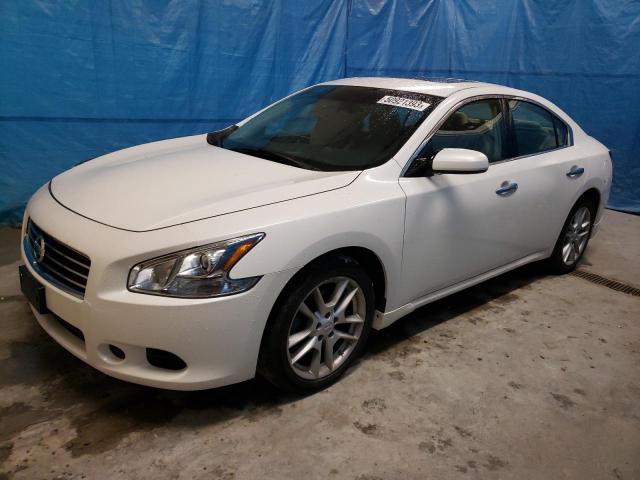 NISSAN MAXIMA 2009 with VIN 1N4AA51E79C856230 - Photo from auction