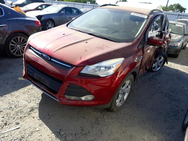 Photo 1 from auction – 2014 FORD ESCAPE SE with VIN 1FMCU0GXXEUB32313