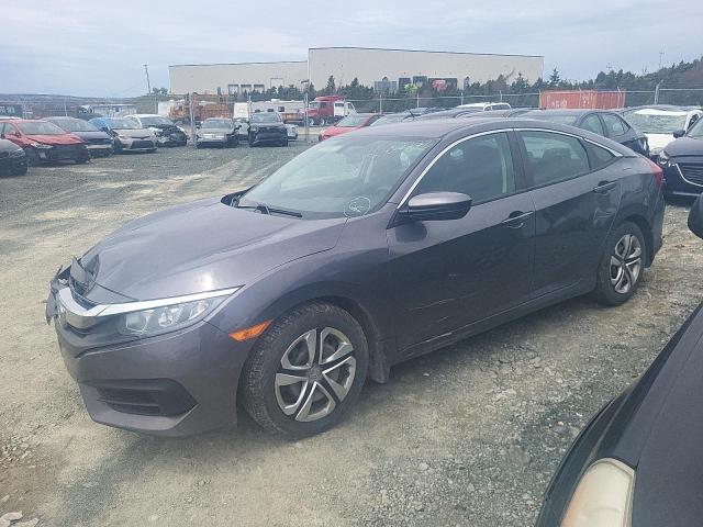HONDA CIVIC LX 2017 with VIN 2HGFC2F59HH037282 - Photo from auction