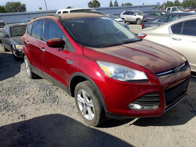 Photo 4 from auction – 2014 FORD ESCAPE SE with VIN 1FMCU0GXXEUB32313