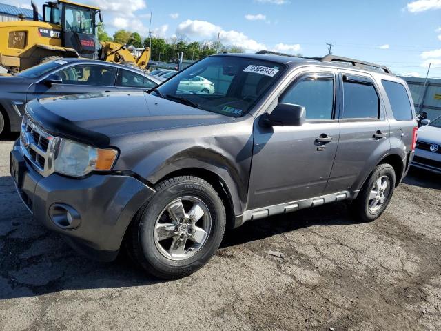 Photo 1 from auction – 2009 FORD ESCAPE XLT with VIN 1FMCU93G09KD05879