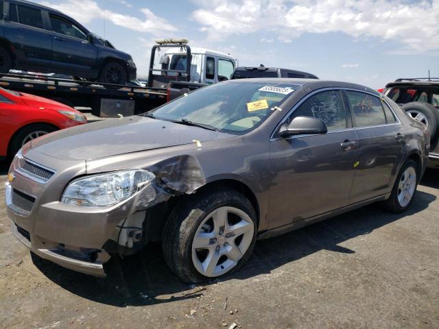 CHEVROLET MALIBU LS 2010 with VIN 1G1ZB5EB8AF262591 - Photo from auction