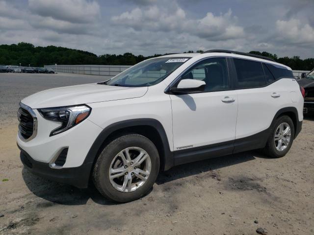 GMC TERRAIN SL 2021 with VIN 3GKALTEV4ML321036 - Photo from auction