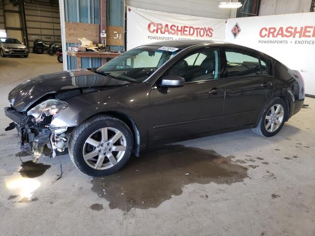 NISSAN MAXIMA SE 2006 with VIN 1N4BA41E06C866270 - Photo from auction
