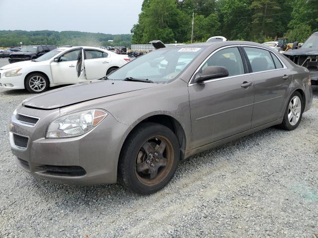 CHEVROLET MALIBU LS 2012 with VIN 1G1ZB5E04CF343878 - Photo from auction